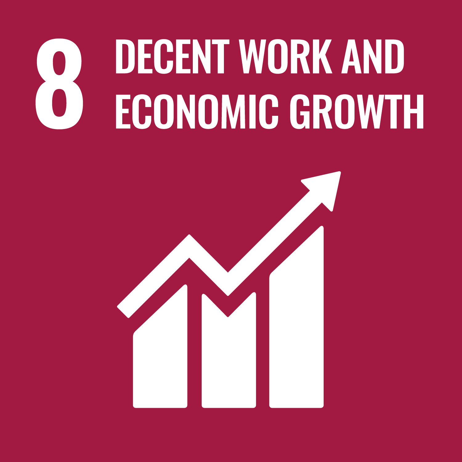 SDG 8 en