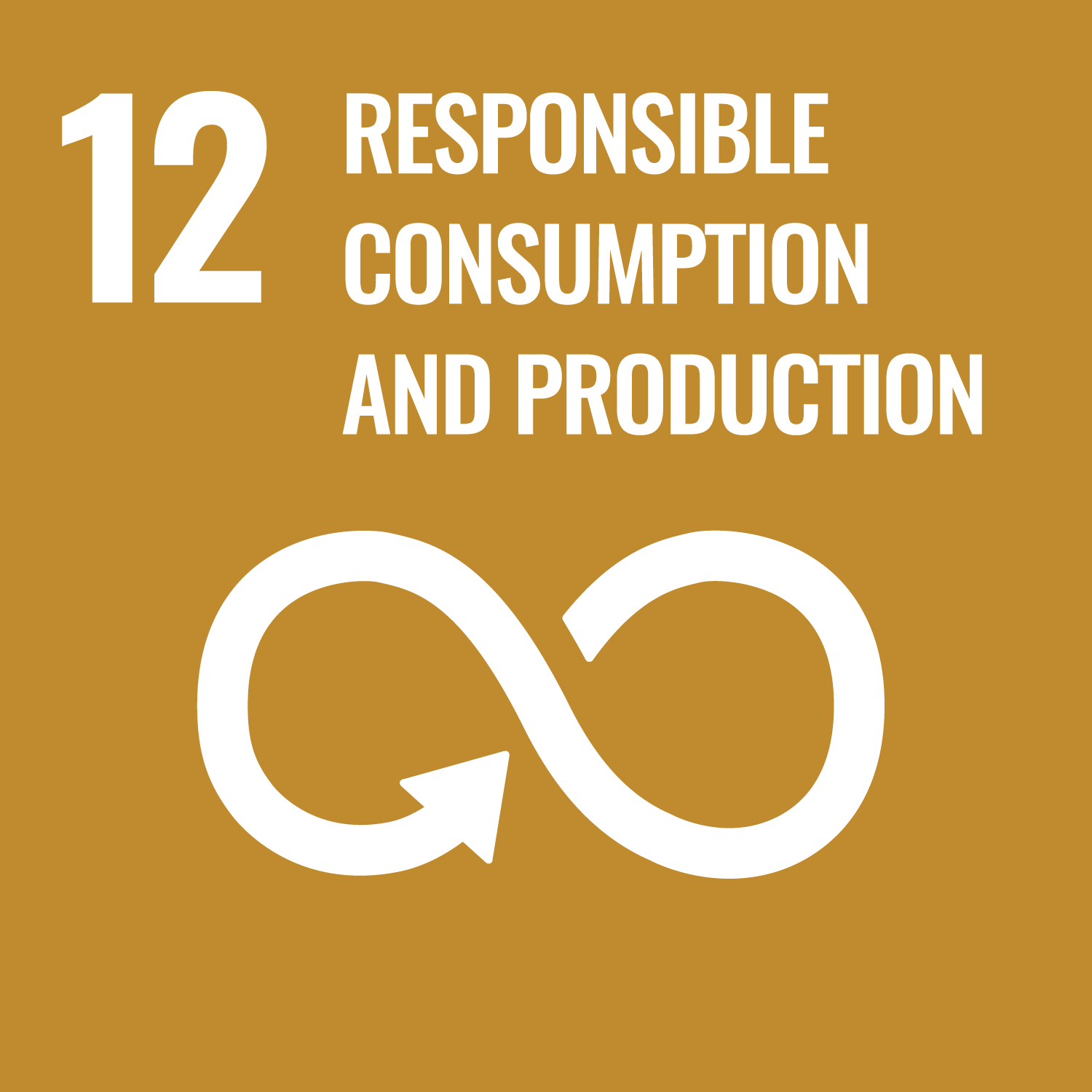 SDG 12 en
