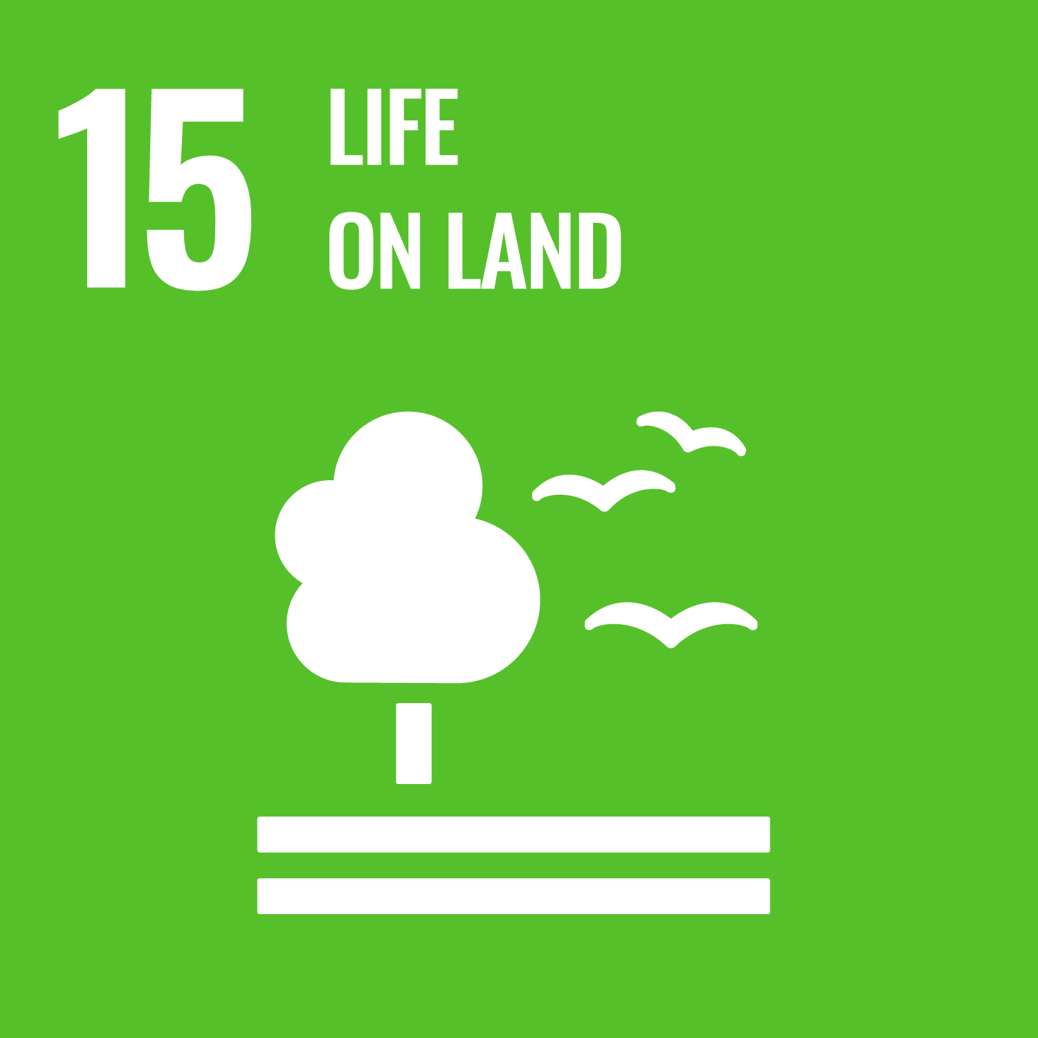 SDG 15 en