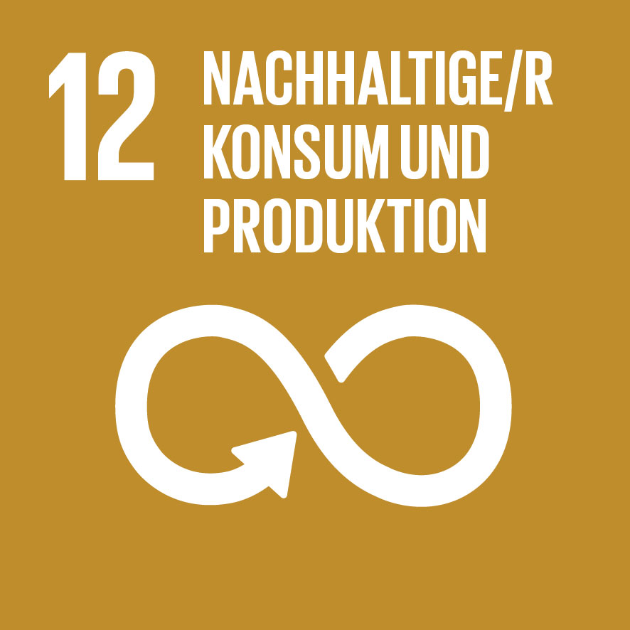 SDG 12