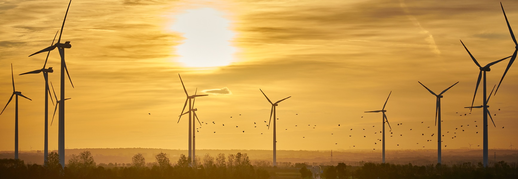 Zukunft und Nachhaltigkeit